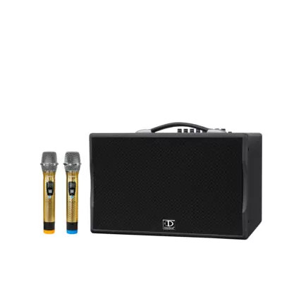 Loa karaoke xách tay Dalton PS-K20A 250W (PS-K8A LUXURY)