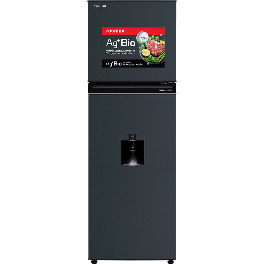 Tủ lạnh Toshiba Inverter 249 lít GR-RT325WE-PMV(06)-MG
